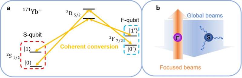 Researchers realize two coherently convertible qubit types using a single ion species