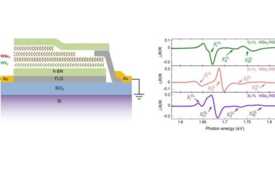 A design to tune moiré excitons in TMDC superlattices through varying layer degrees of freedom