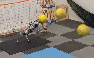 A reinforcement learning-based four-legged robotic goalkeeper