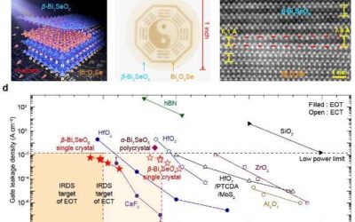 The successful integration of a sub-0.5nm dielectric with 2D semiconductors