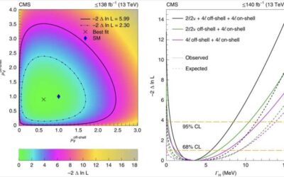 Evidence of Higgs boson contributions to the production of Z boson pairs at high energies