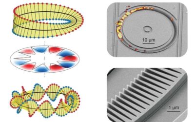 Whispering gallery modes with fractional optical angular momentum in photonic crystal micro-rings