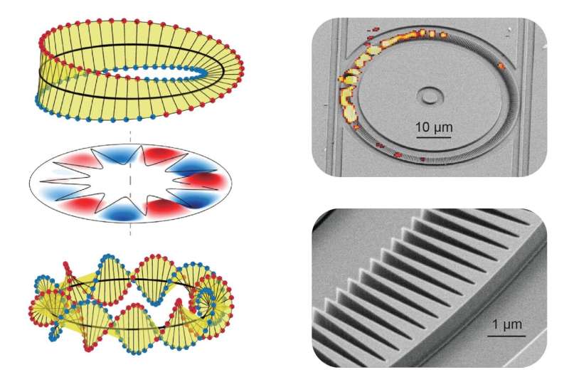 Whispering gallery modes with fractional optical angular momentum in photonic crystal micro-rings
