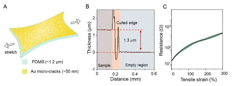 A 1.3-micrometer-thin elastic conductor for wearable and implantable devices