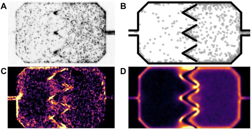 A numerical protocol to estimate local entropy production