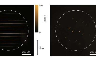 A room-temperature terahertz camera based on a CMOS and quantum dots