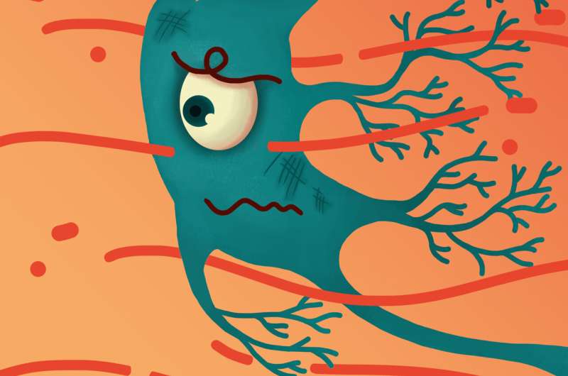 Study hints at the potentially crucial role of shear stress in the activation of pain sensing neurons