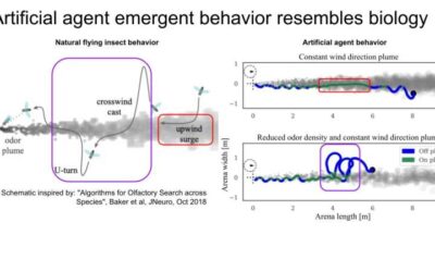 A deep reinforcement learning model that allows AI agents to track odor plumes