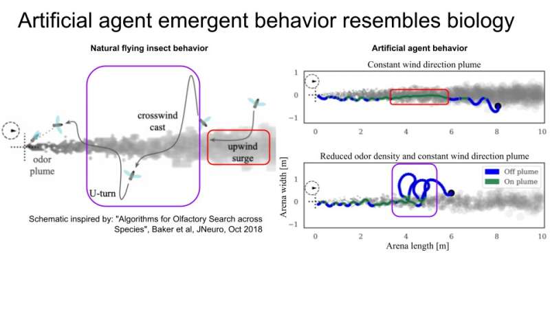 A deep reinforcement learning model that allows AI agents to track odor plumes