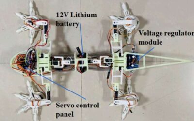 A lizard-inspired robot to explore the surface of Mars