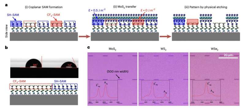 A method to reliably fabricate transition metal dichalcogenide field-effect transistors on a wafer-scale