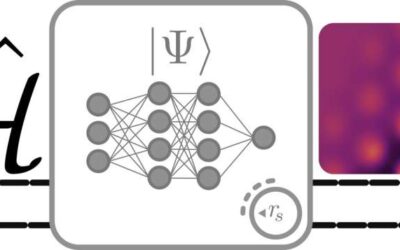 An extension of FermiNet to discover quantum phase transitions