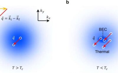 The first experimental bosonic stimulation of atom-light scattering in an ultracold gas