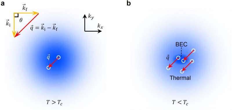 The first experimental bosonic stimulation of atom-light scattering in an ultracold gas