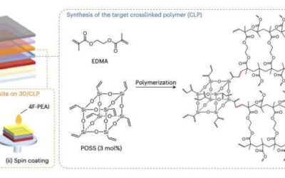 A strategy to stabilize 3D/2D perovskite heterostructures for solar cells