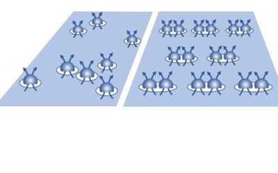 Researchers observe a bubble phase of composite fermions