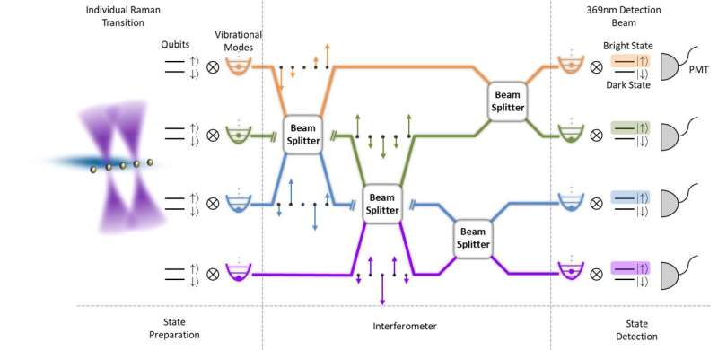 A scalable and programmable quantum phononic processor based on trapped ions