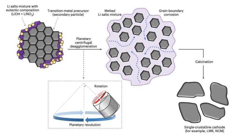 A scalable strategy to synthesize purer and highly performing single-crystal cathodes
