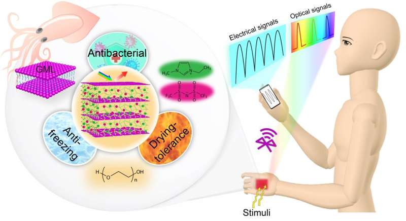 A squid-inspired artificial skin that endures harsh environments