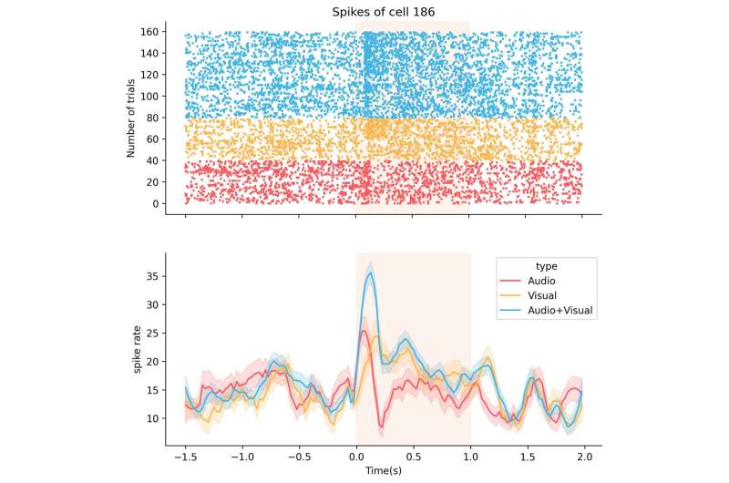 Exploring the integration of audiovisual information in the primate amygdala and adjacent regions