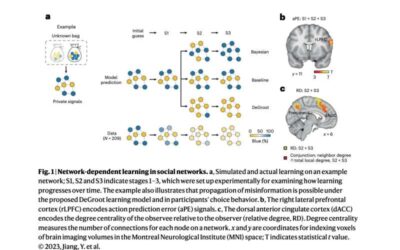 Exploring the neural mechanisms behind how social networks shape our decisions