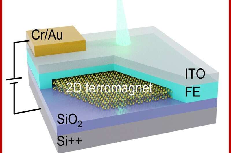 Study demonstrates the non-volatile electrical control of a 2D magnetic insulator using a thin ferroelectric polymer