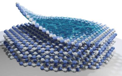 Study uncovers the fundamental mechanisms underlying the formation of polarons in 2D atomic crystals