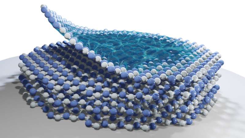 Study uncovers the fundamental mechanisms underlying the formation of polarons in 2D atomic crystals