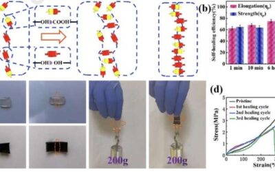 A conductive self-healing hydrogel to create flexible sensors