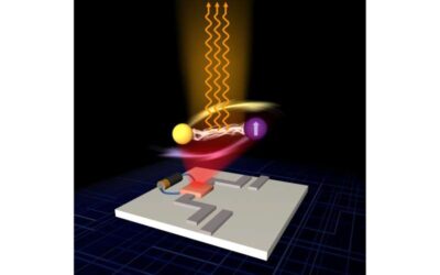 A highly performing device for polariton-based coherent microwave emission and amplification