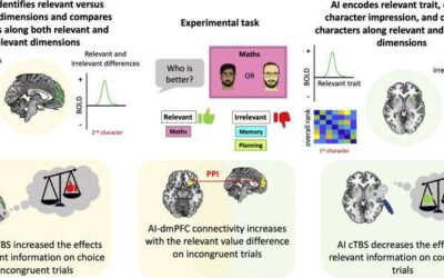 A neural pathway involved in separating and selectively sorting through social information