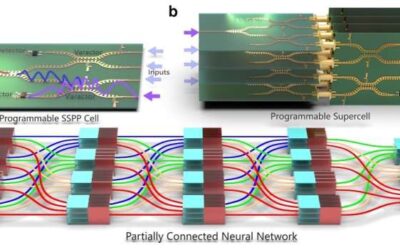 A programmable surface plasmonic neural network to detect and process microwaves