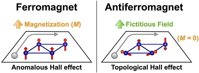 A spontaneous topological Hall effect driven by a non-coplanar antiferromagnetic order in van der Waals materials