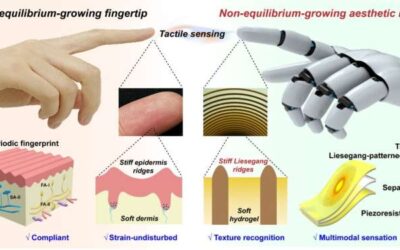 An ionic skin that could provide robots with tactile sensation and texture recognition capabilities