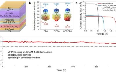 New inorganic wide-bandgap perovskite subcells that are both efficient and stable