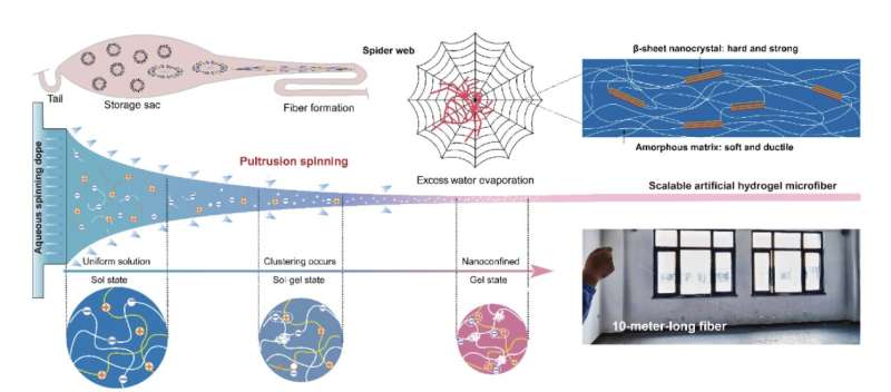 Self-healable and crack-resistant hydrogel microfibers inspired by spider silk