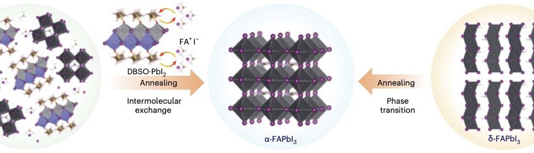 A strategy to reduce defects in inverted perovskite solar cells and improve their performance