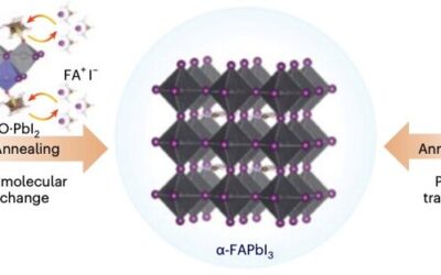 A strategy to reduce defects in inverted perovskite solar cells and improve their performance