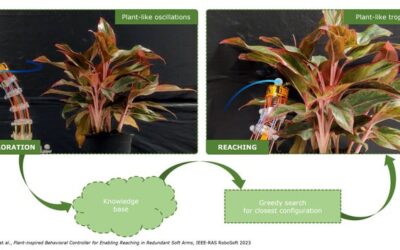 A plant-inspired controller that could facilitate the operation of robotic arms in real-world environments