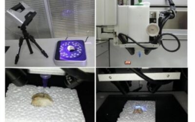Review of recent progress in robotic printing of surgical implants promoting cartilage regeneration