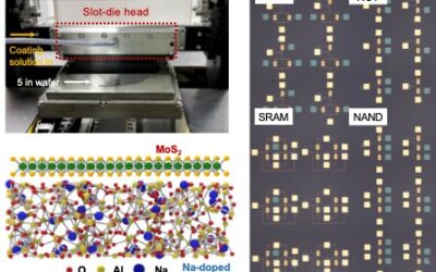 Wafer-scale transistor arrays created using slot-die printing