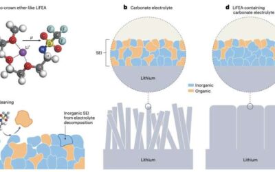 A new self-cleaning salt molecule to improve the performance of lithium metal batteries