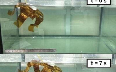 A polyamide-based soft jellyfish robot actuated by a shape memory alloy