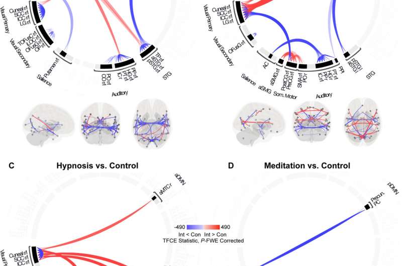 Exploring what happens in the brain under the influence of psychedelics, while meditating and during hypnosis