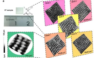 Millimeter-scale meron lattices that can serve as spin injectors for LEDs