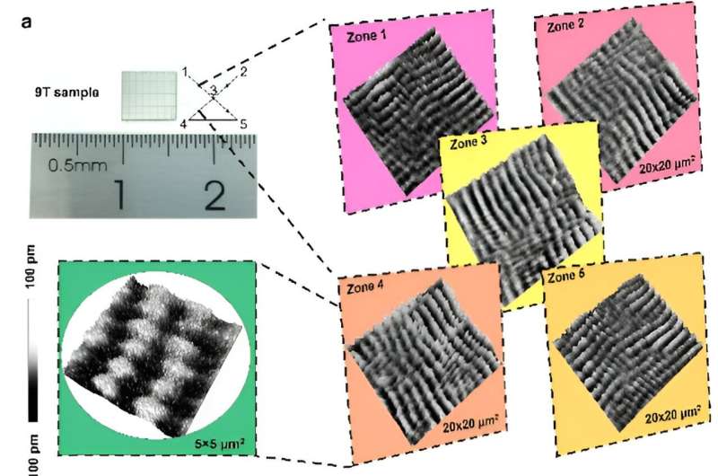 Millimeter-scale meron lattices that can serve as spin injectors for LEDs