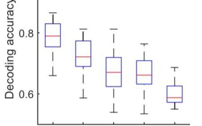 Study determines object-related information is distributed across CA1 neurons in the hippocampus