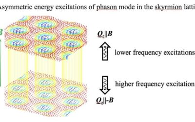 Study reveals an asymmetric dispersion of phason excitations in a skyrmion lattice