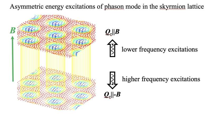 Study reveals an asymmetric dispersion of phason excitations in a skyrmion lattice