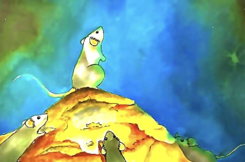 Study shows that astrocytes in the cortex modulate the dominant behavior of male mice